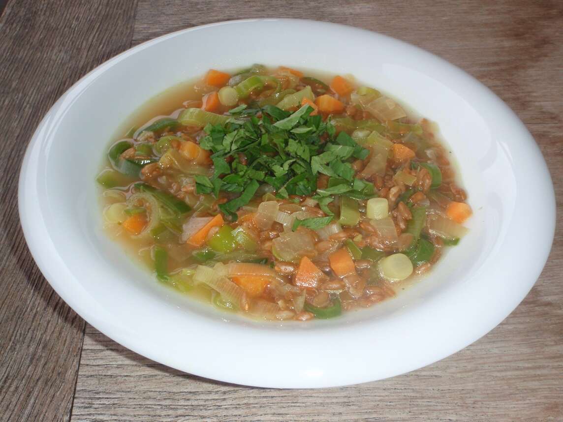 Soupe de blé vert aux légumes et à l'ajonc ordinaire
