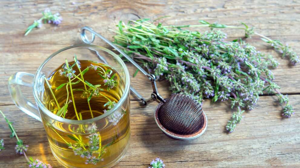 Fresh thyme, thyme tea in tea glass with tea strainer.