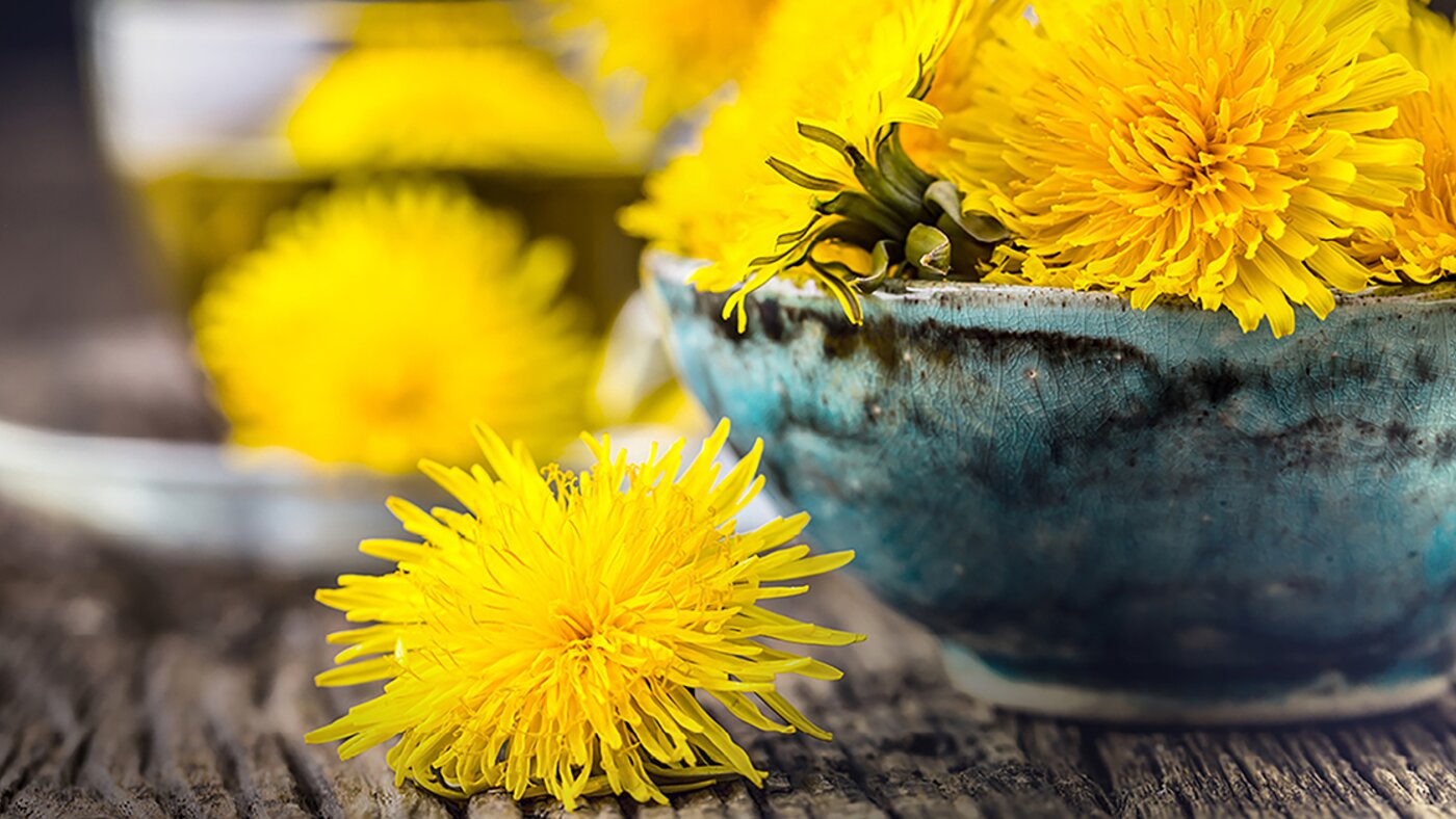 Fiori di Tarassaco