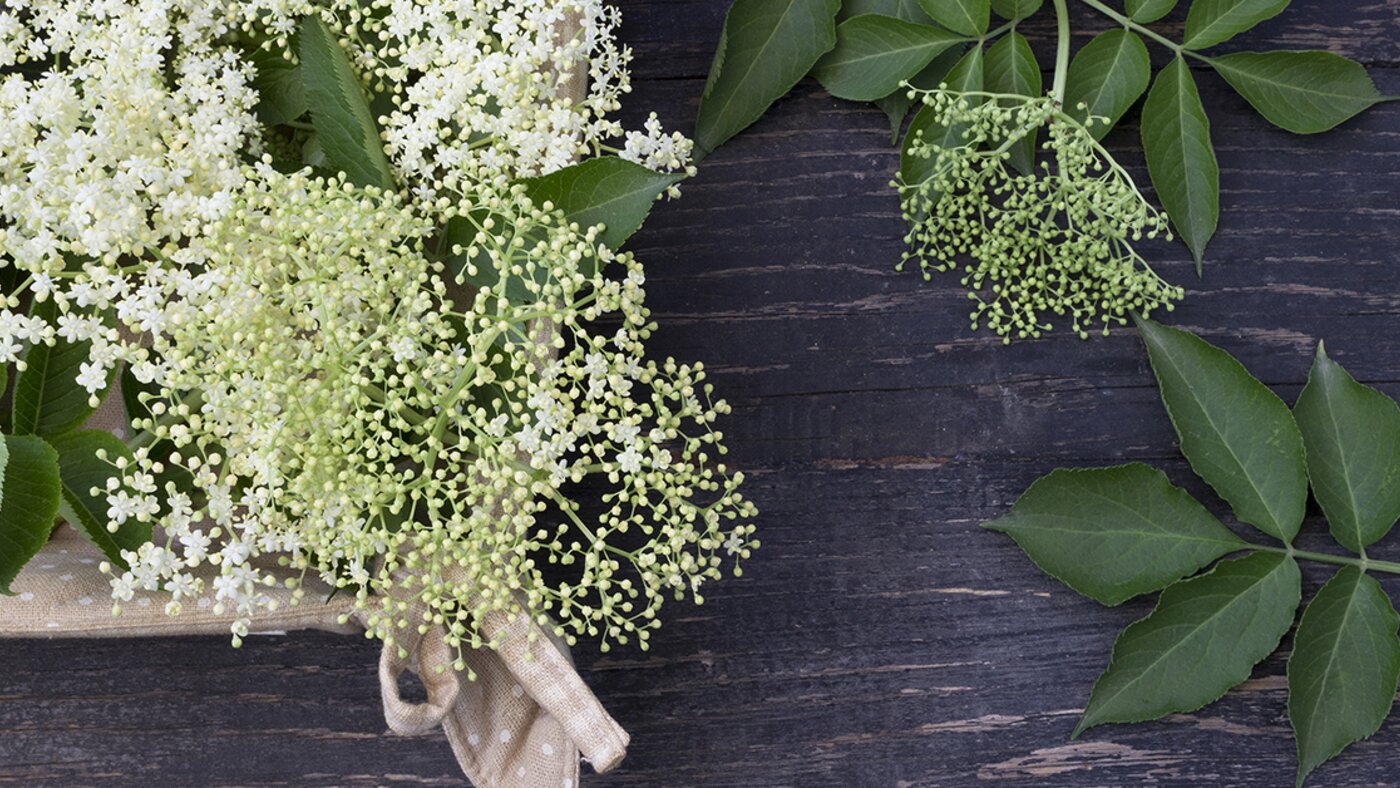 Elderflowers and leaves in basket on wooden board