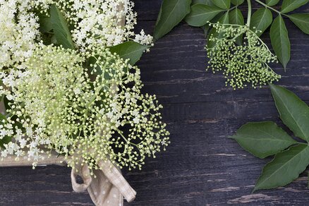 Elderflowers and leaves in basket on wooden board
