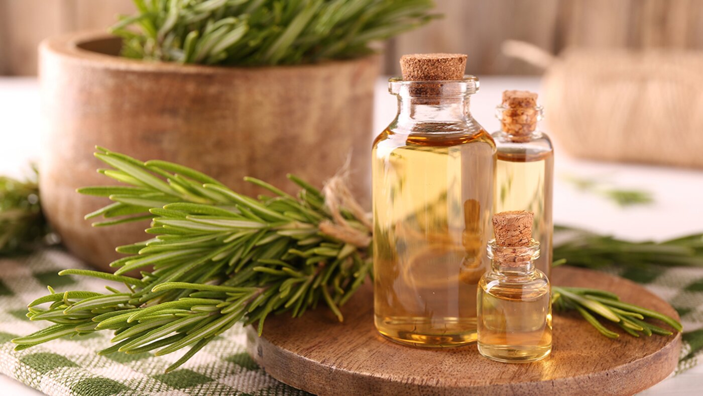 Rosemary and rosemary oil