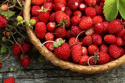 Wild strawberries in baskets