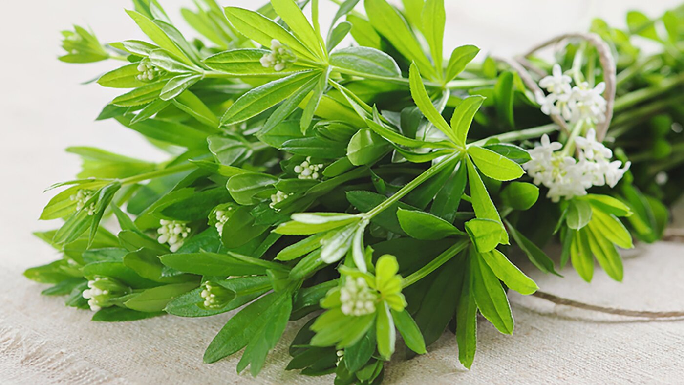 Bouquet d'asperula