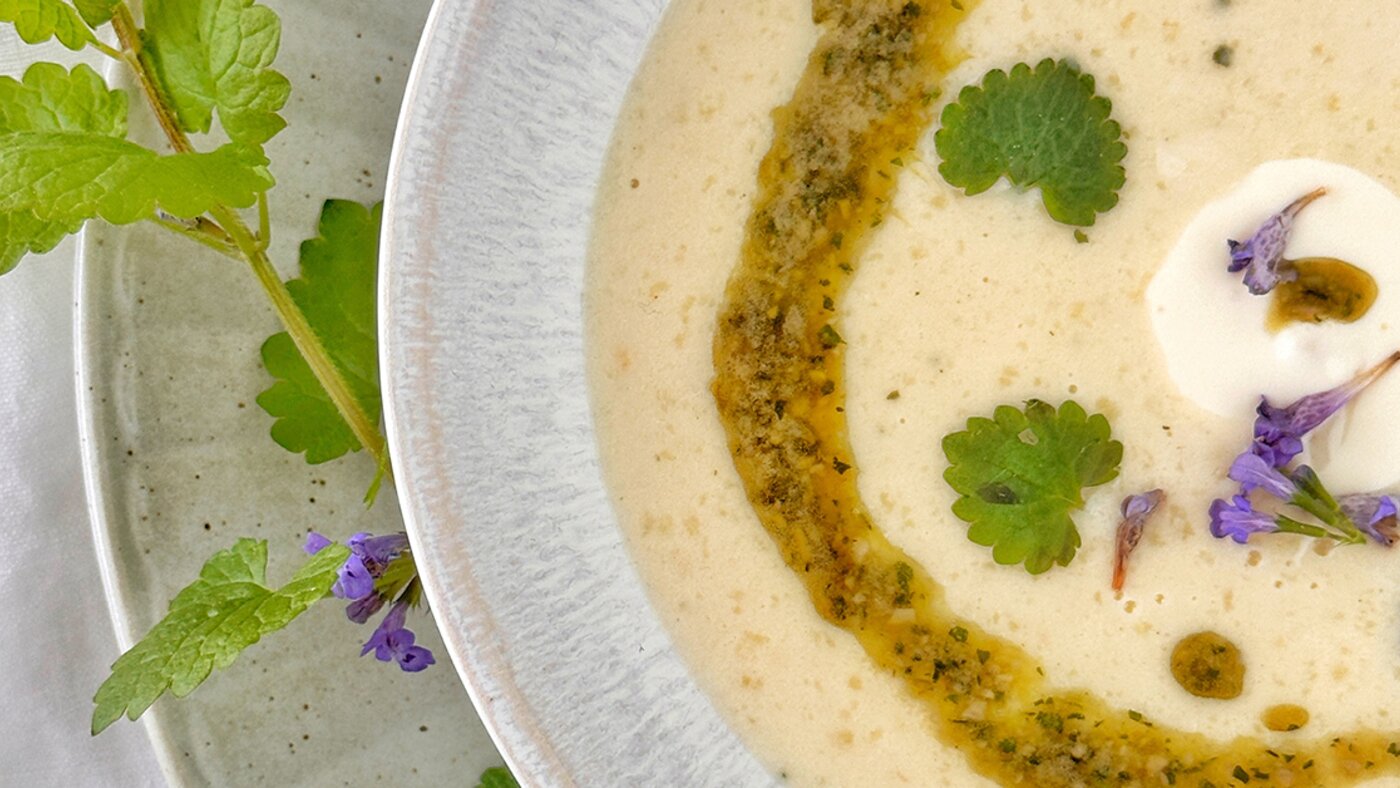 Creamy sour soup with ground ivy pesto and honey