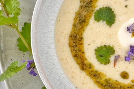 Sauerrahmsuppe mit Gundermann-Honig Pesto