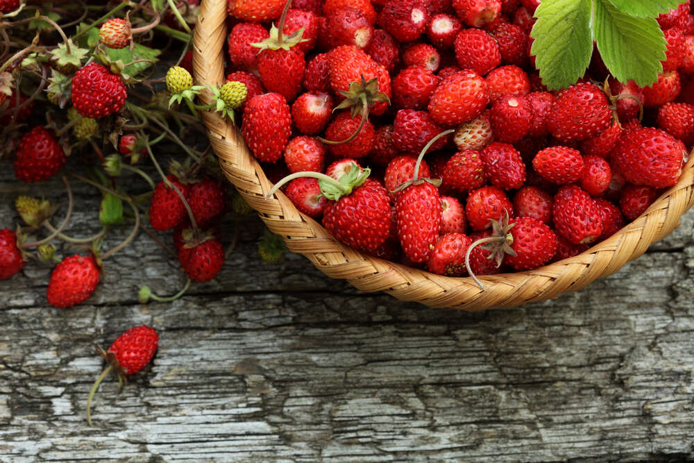 Walderdbeeren in Körbchen