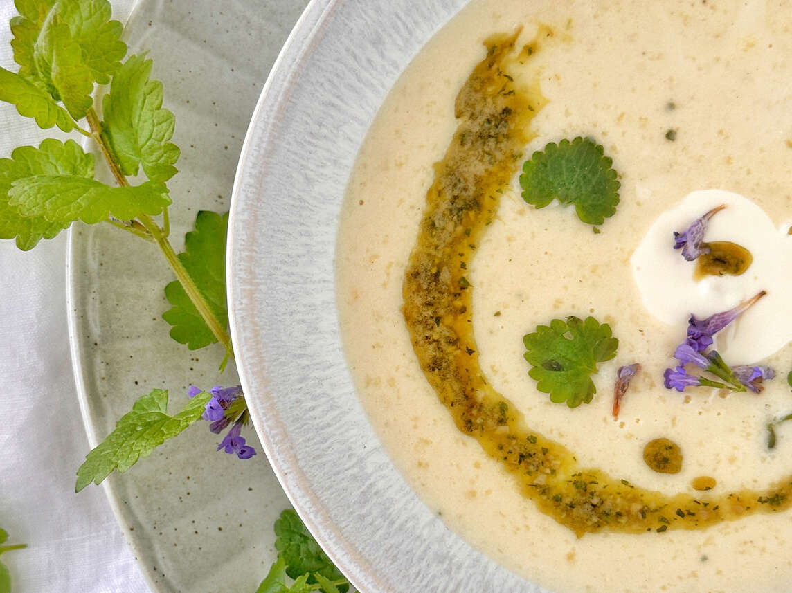Zuppa di panna acida con pesto di edera terrestre e miele
