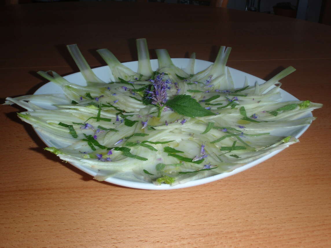 Carpaccio de fenouil avec fleurs et feuilles d'agastache