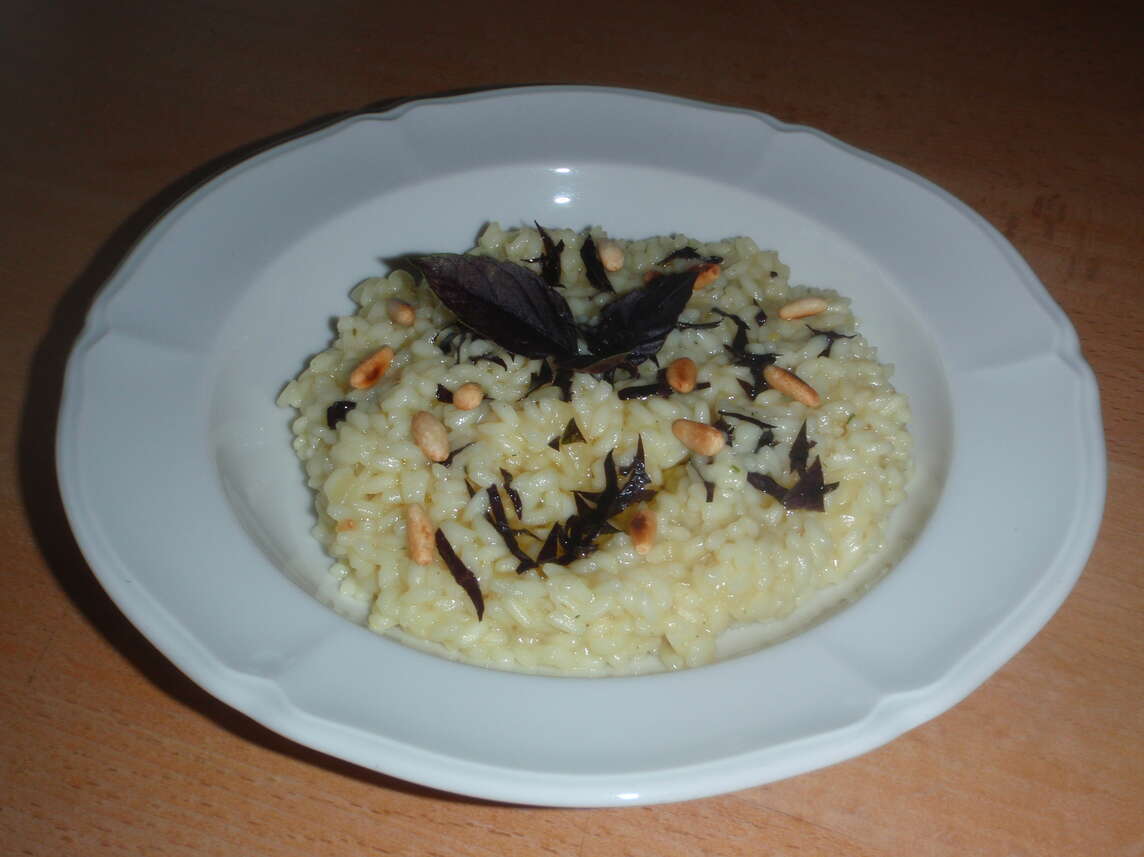 Risotto con basilico rosso e pinoli