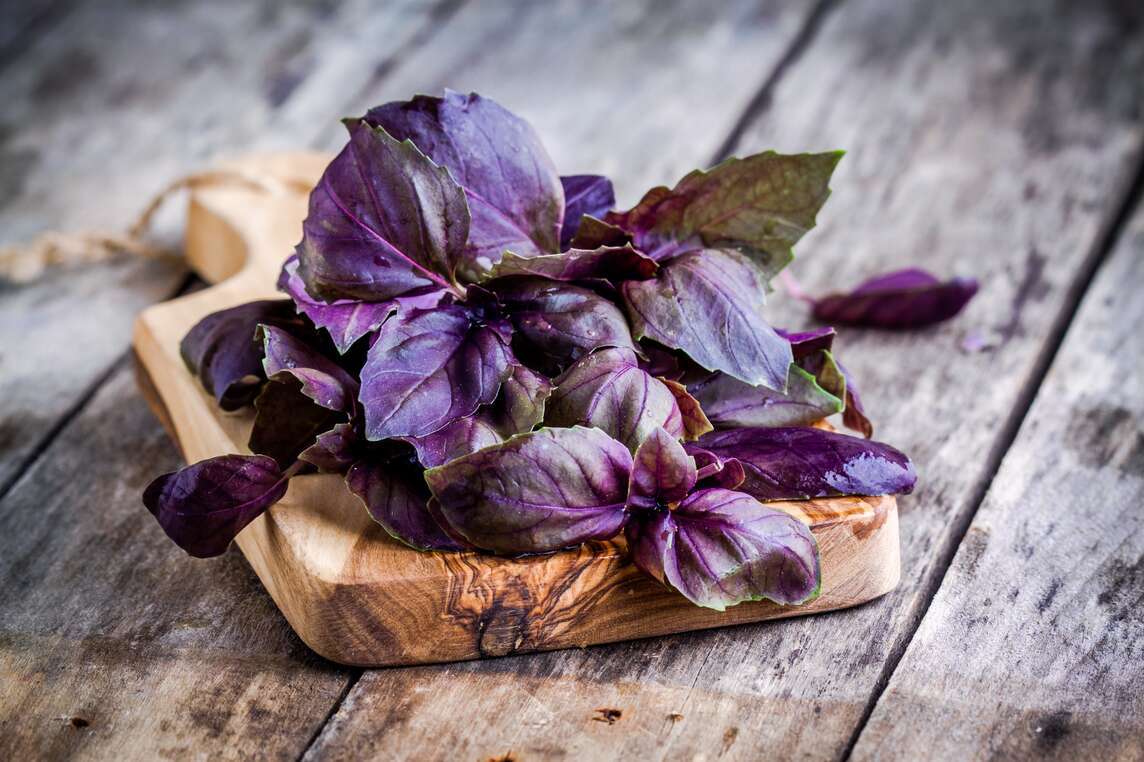 feuilles de basilic rouge sur une planche en bois