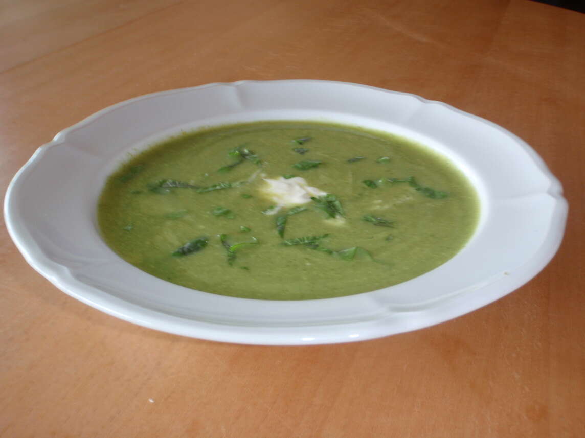 Zuppa di zucchine con cerfoglio piccolo