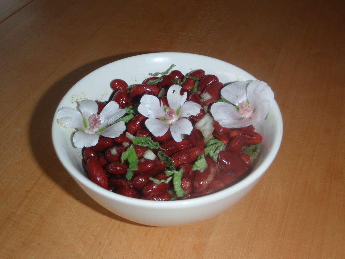 Haricots rouges avec des feuilles et des fleurs de mauve hachées