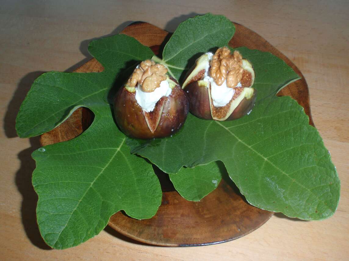 deux figues farcies au fromage de chèvre frais et aux noix, sur une feuille de figuier