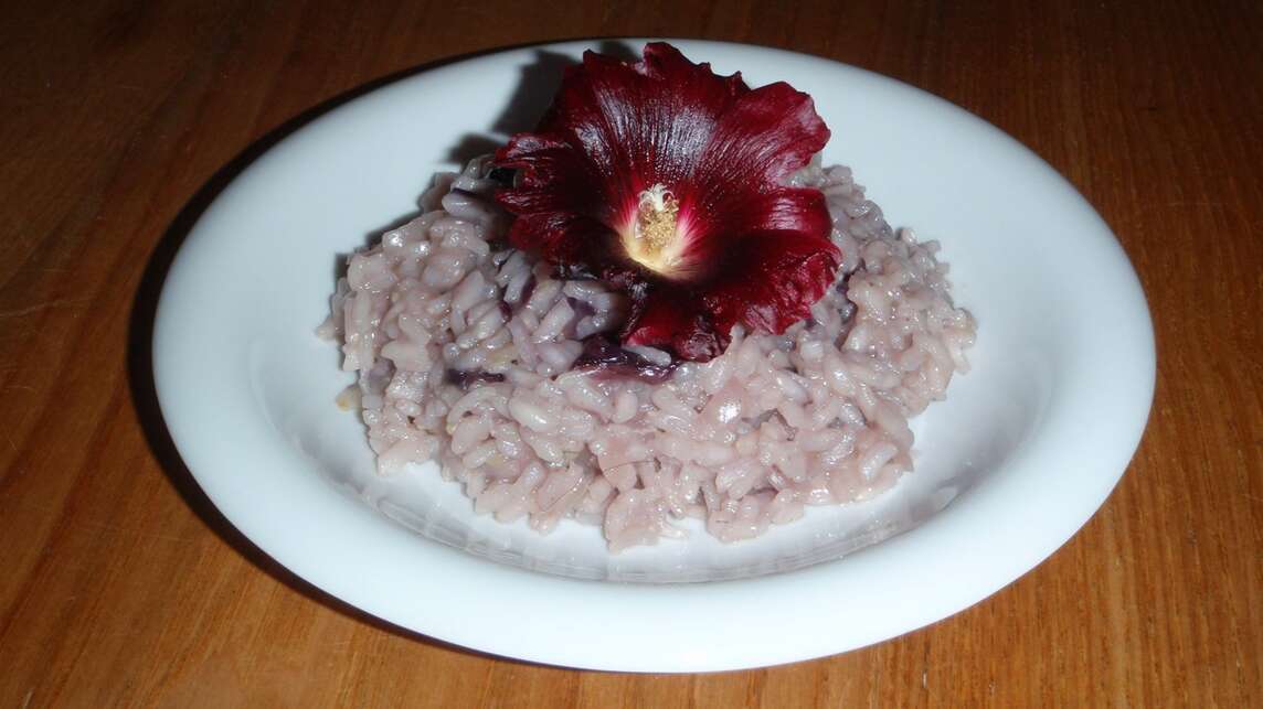 Risotto à la fleur de mauve sur assiette