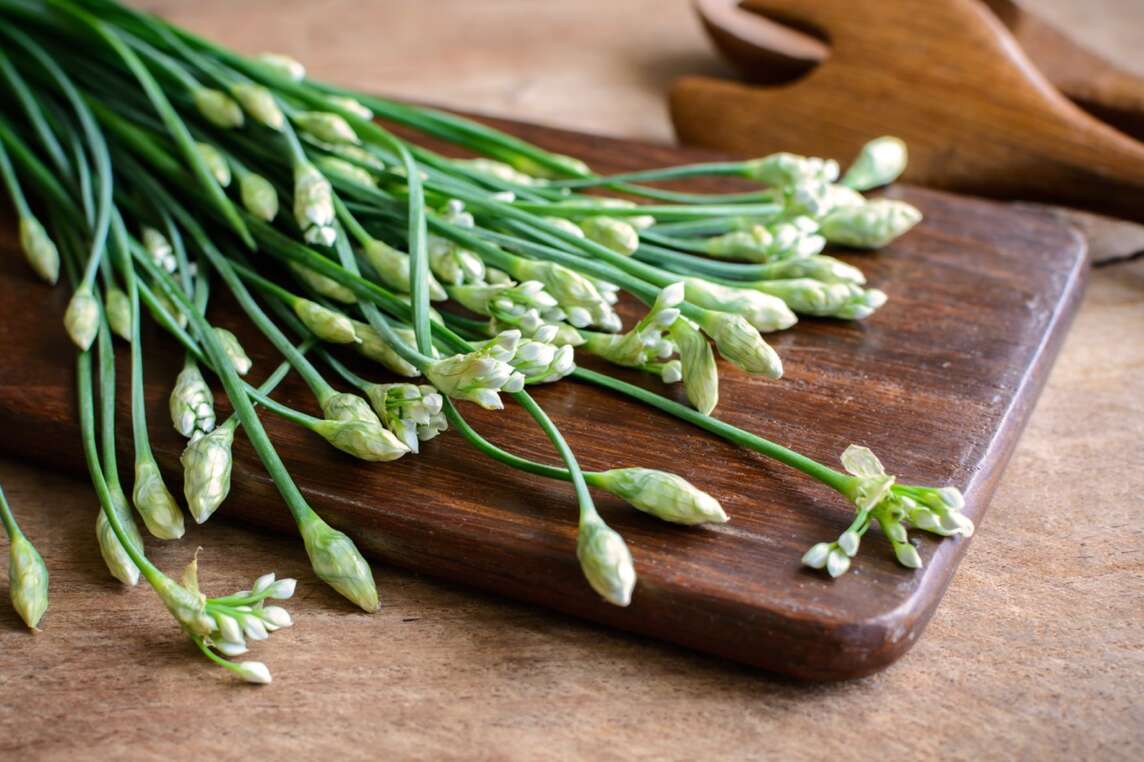 Schnittknoblauch-Stängel und -Blüten auf Schnittbrett