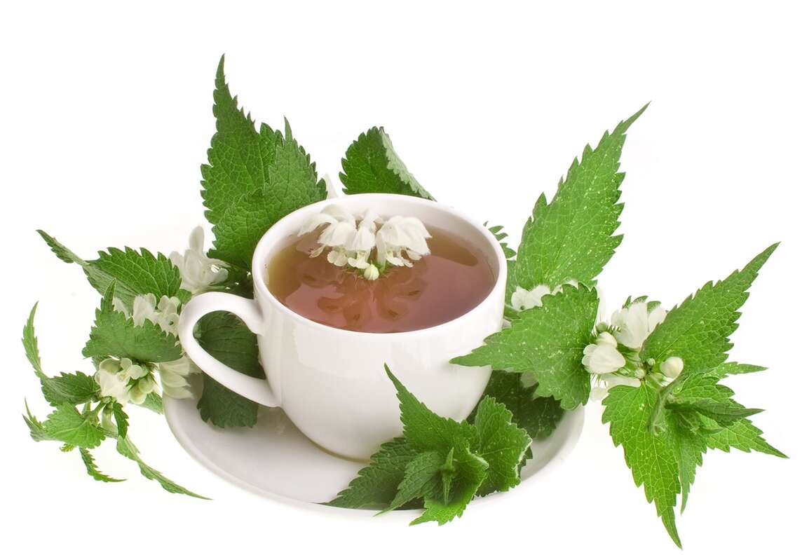 Blätter und Blüten der weissen Taubnessel, Tasse mit Tee