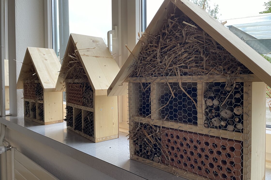 Selbst gefertigte Bienen-und Insektenhäuser
