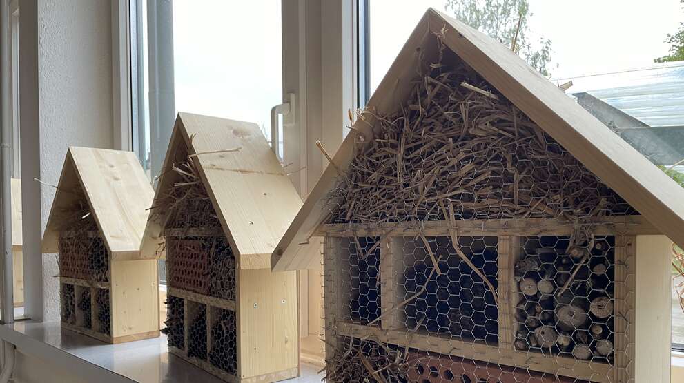 Maisons pour abeilles et insectes faites maison