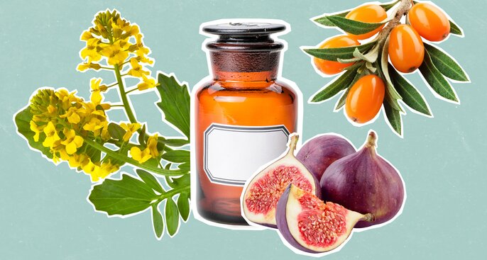 EGK soggetto Conoscenza delle erbe