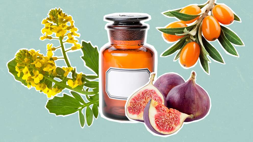 EGK soggetto Conoscenza delle erbe